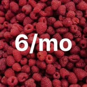 Refreshing Raspberry - 6 Months