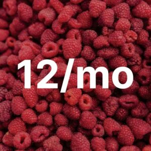 Refreshing Raspberry - 12 Months